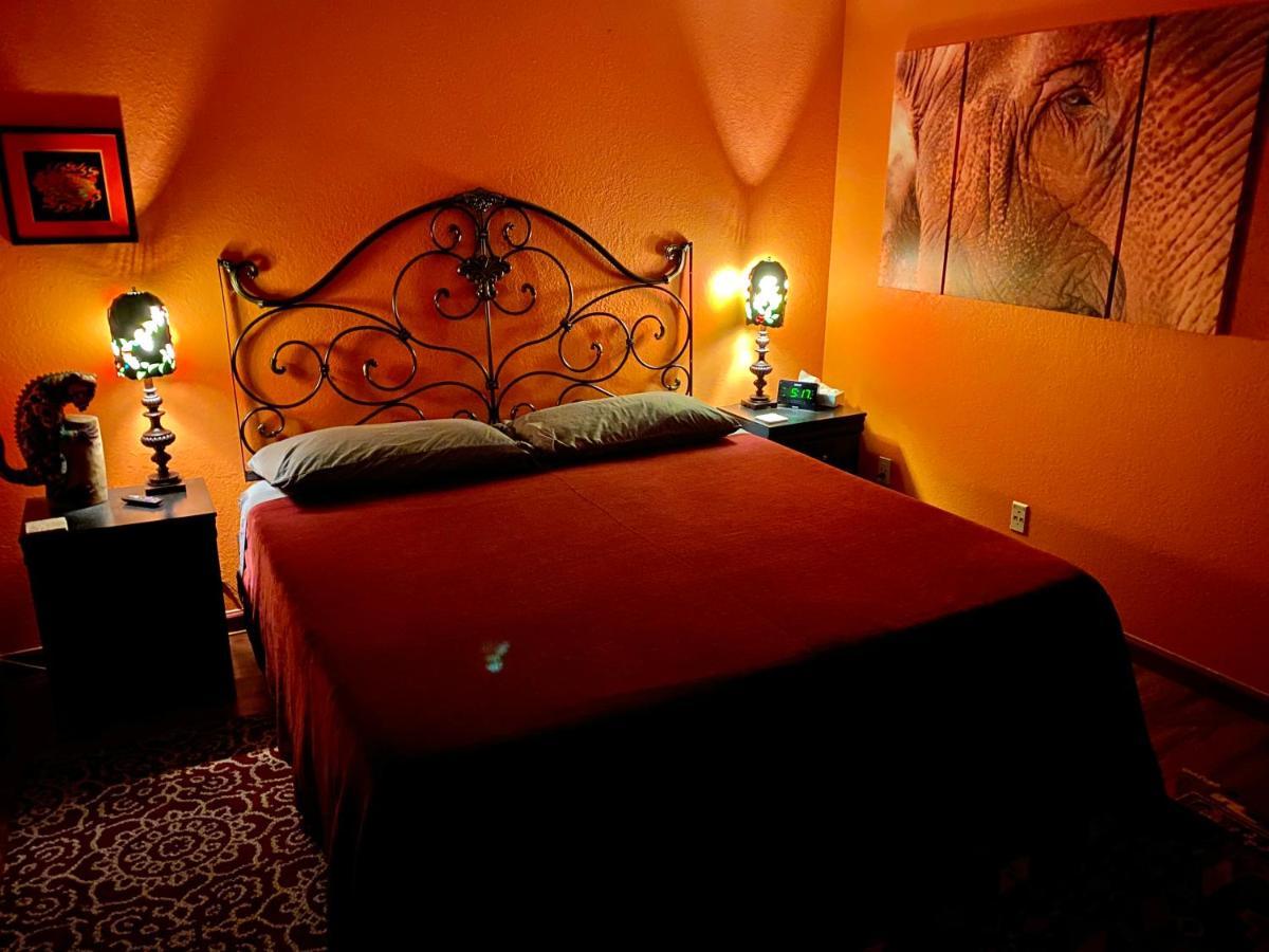 My Big Art Project Bed and Breakfast Santa Rosa Eksteriør billede